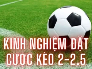Cách Chơi Kèo 2.25 Tài Xỉu Dễ Hiểu Dễ Thắng