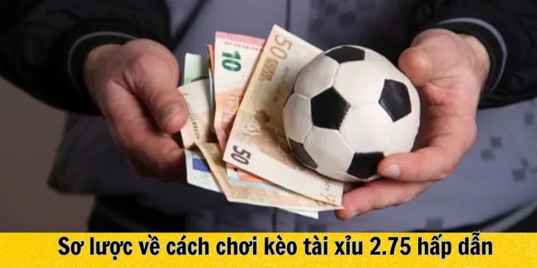 Cách Chơi Kèo 2.75 Siêu Chi Tiết Dành Cho Người Mới