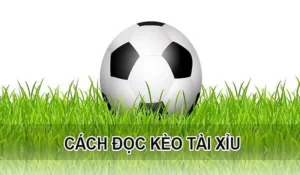 Cách Chơi Kèo Tài Xỉu Trong Bóng Đá Để Luôn Thắng
