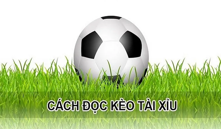Cách Chơi Kèo Tài Xỉu Trong Bóng Đá Để Luôn Thắng