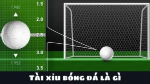 Cách Chơi Kèo Tài Xỉu Bóng Đá Chuẩn Xác Nhất Cho Người Mới