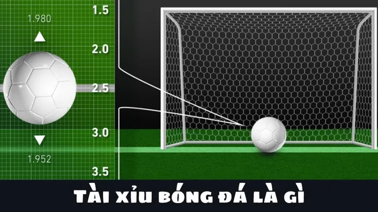 Cách Chơi Kèo Tài Xỉu Bóng Đá Chuẩn Xác Nhất Cho Người Mới